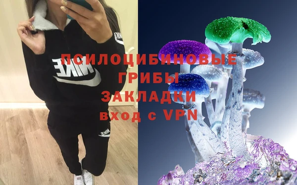 ECSTASY Тайга