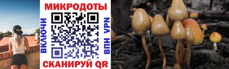 как найти наркотики Обь МЕГА как зайти Псилоцибиновые грибы GOLDEN TEACHER