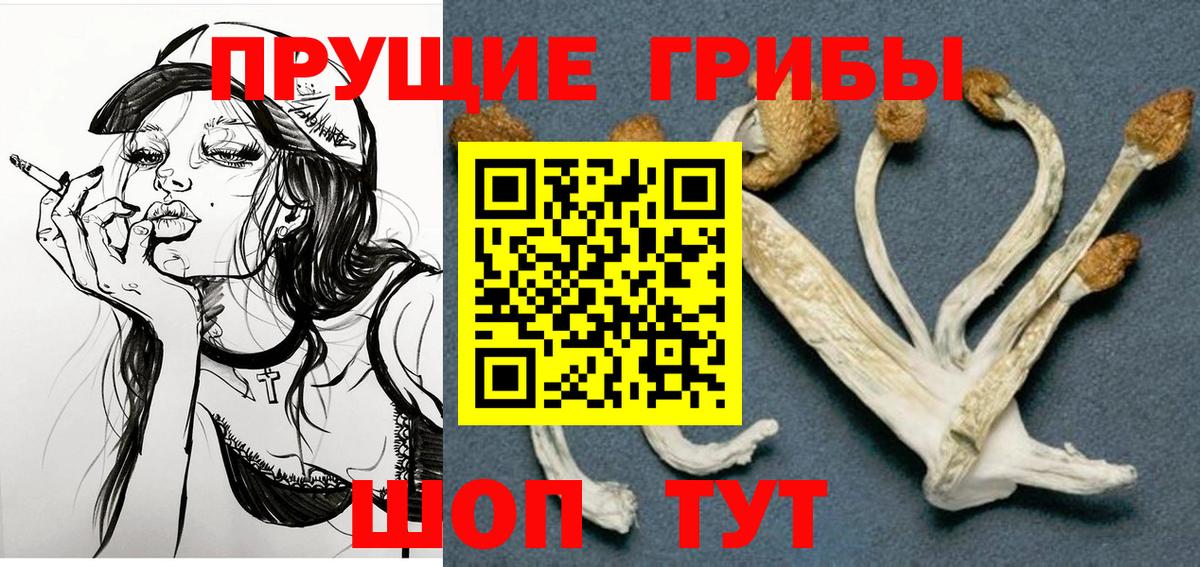 Псилоцибиновые грибы MAGIC MUSHROOMS Обь