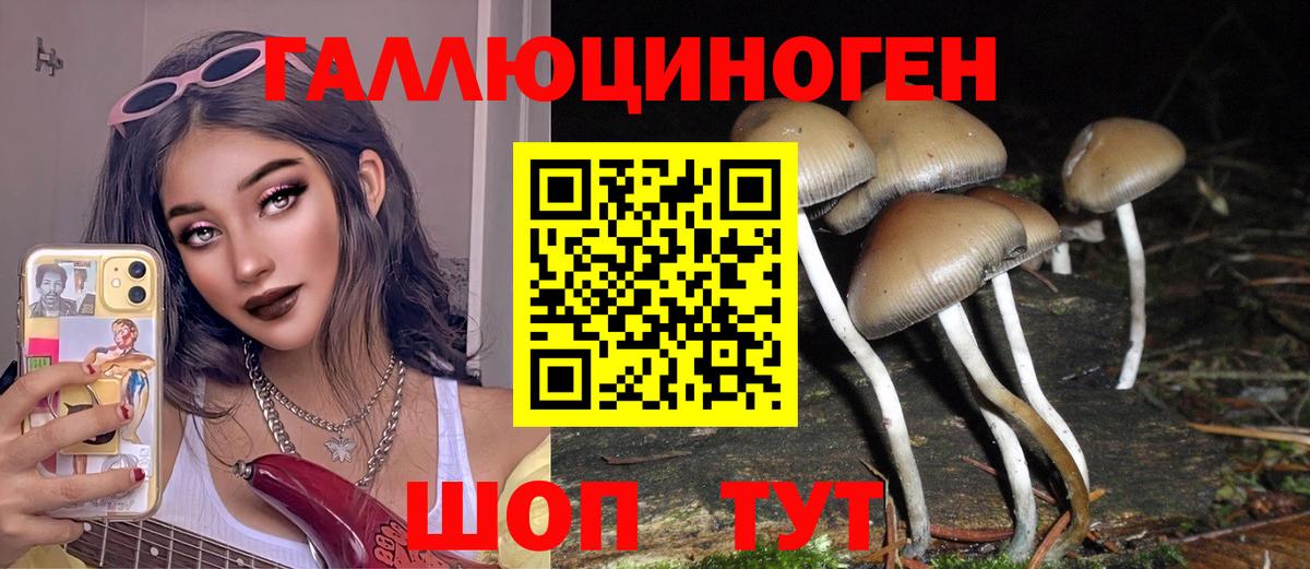 Обь  Галлюциногенные грибы GOLDEN TEACHER  дарнет шоп  Вход с VPN 